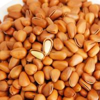 新货手剥东北开口松子2斤散装5斤坚果干果原味10斤整箱年货批发