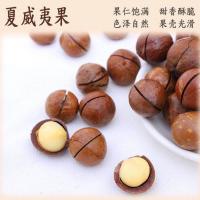 每日坚果干果夏威夷果奶油味巴旦木碧根果开心果干礼盒零食大礼包