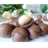 白胡子新疆特产新货夏威夷果500g零食休闲坚果干果奶油味送开口器[3月8日发完]