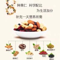 新疆特产干果礼盒每日坚果实惠礼品盒雪山果园 每日坚果礼盒900g