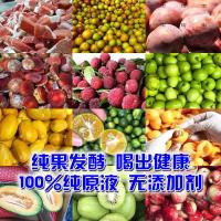 慈康坊酵素原液柠檬青梅水果果蔬孝素非自制酵素粉梅清肠排毒