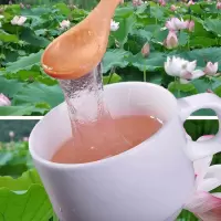 江西正宗手工纯耦粉700g早餐食品营养莲藕粉非杭州西湖特产李子柒