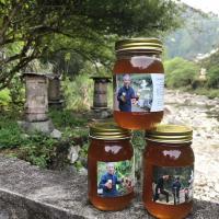 [1000g秦岭土蜂蜜]纯正天然蜂蜜农家自产野生百花结晶蜜孕妇蜜
