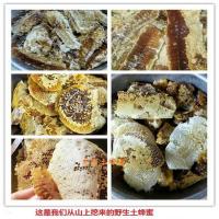 【可选顺丰配送】农家蜂蜜土蜂蜜野生土蜂蜜深山野生纯正天然百花土蜂蜜正品500g