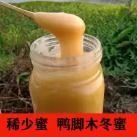【玻璃瓶发货】2斤装野生鸭脚木冬蜜土蜂蜜纯正天然原蜜无添加