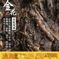 安化黑茶 陈年黑茶正品2015年白沙溪手筑茯砖茶3kg 江南春老茶店