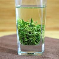 [可选顺丰配送]2019年新茶日照绿茶茶叶 浓香型特级春茶 茶农直销 散装500g