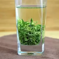 [可选顺丰配送]2019年新茶日照绿茶茶叶 浓香型特级春茶 茶农直销 散装500g