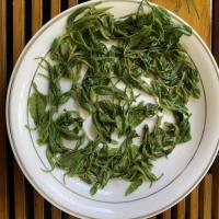 [可选顺丰配送]日照绿茶特级 茶叶绿茶2019年新茶浓香型500克