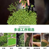 [可选顺丰配送]茶叶绿茶 日照绿茶2019新茶茶叶批发散装 特级春茶 高山绿茶