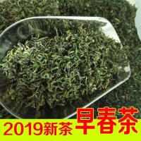 2019年山东日照绿茶新茶叶 浓香型茶叶绿茶 散装500g