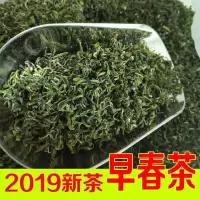2019年山东日照绿茶新茶叶 浓香型茶叶绿茶 散装500g