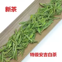 2019新茶安吉白茶珍惜白茶250g罐装春茶绿茶明前特级茶叶多规格