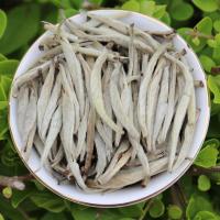 特级茉莉花茶茶王2019新茶叶 横县茉莉花茶金针浓香型大白毫250g