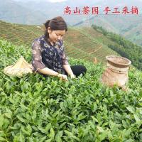 【天然二号】新茶铁观音茶叶高山兰花香铁观音乌龙茶秋茶500g