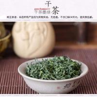 茶叶绿茶 浓香型 新茶特级山东日照绿茶散装500克