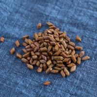 菊花决明子山楂蒲公英枸杞薄荷甘茶组合花茶养生冬季泡水喝的茶