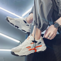 胜耐尅格精品精选特卖男鞋2020新款夏季防臭老爹板鞋男士韩版潮流百搭网红帆布潮鞋秋季正品打折折扣