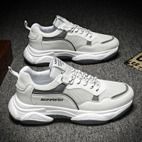 胜耐尅格精品精选特卖男鞋2020新款秋季网红老爹潮鞋男士潮流百搭网面运动休闲板鞋冬季正品打折折扣