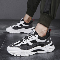 胜耐尅格精品精选特卖帆布鞋男2020新款秋季男士韩版百搭休闲板鞋潮流老爹运动ins潮鞋正品打折折扣