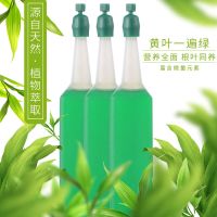 植物营养液通用型花盆栽水培绿萝多肉发财树富贵竹专用花卉肥料