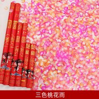礼花筒结婚礼炮花炮手持喷花筒礼花礼炮用品彩花手拎筒喷彩带|(三色桃花雨款) 60型号(16根)