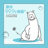 去菌湿巾湿厕纸40片*3包房事私处清洁可冲马桶卫生湿巾