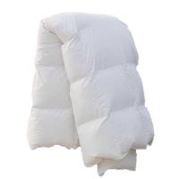 羽绒被95鹅绒冬被加厚保暖鹅绒被芯被子春秋被羽绒冬暖被