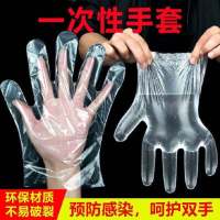 【500只特价9.9】一次性塑料手套食品餐饮透明薄膜PE厨房防疫用品手套