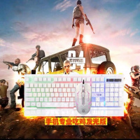 手机游戏键盘鼠标发光套装cf吃鸡荣耀和平精英辅助神器云 W33发光键盘鼠标套装白色 安桌手机椭圆接口(送手机支架和鼠标垫