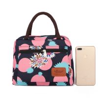手提包化妆包饭盒袋女包妈咪包收纳小方包女士防水便当小包包