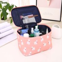 大容量随时便携化妆包ins韩版学生洗漱包网红手提包女士收纳袋
