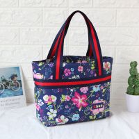 手提包女新款韩版小布包女士包包帆布拎袋妈咪包妈妈包饭盒包包
