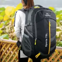 旅行背包男双肩包大容量旅游户外登山包女徒步运动打工行李包特大