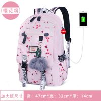 双肩包女网红中小学生初中高中学生书包防水笔记本电脑包轻度少女|樱花粉大号(送毛毛球)