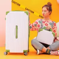 行李箱大容量32寸男潮子母密码箱个生旅行箱女皮箱拉杆箱24寸