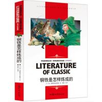 钢铁是怎么样炼成的八下初二课外书必读小说名著钢铁是怎样炼成|[钢铁是怎样炼成的]名师精读版 收藏优先发货