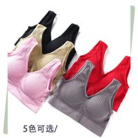 无钢圈文胸运动内衣女棉质大码瑜伽健康防震聚拢背心式胸罩