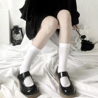 夏季微透薄款天鹅绒中筒袜日韩学院风百搭小腿袜白色丝袜纯色jk袜