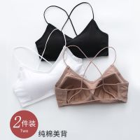 美背内衣女无钢圈网红吊带小背心式文胸白色聚拢性感裹胸抹胸