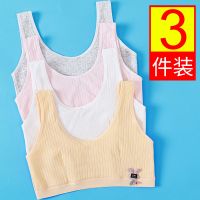 少女内衣小背心中学生纯棉发育期无钢圈中大童女孩初中生12岁文胸