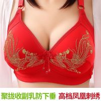大码无钢圈防下垂收副乳聚拢内衣女士文胸罩喜庆凤凰红