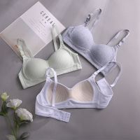 纯棉内衣女高中学生韩版无钢圈ab杯文胸罩小薄款聚拢防下垂收副乳