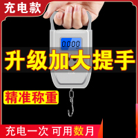 法耐(FANAI)手提秤电子秤商用迷你称重电子厨房50kg便携式快递吊钩称小弹簧秤