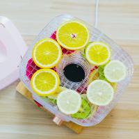 新干果机烤箱水果食品烘干机法耐(FANAI)肉类家用小型宠物食物脱水风干机