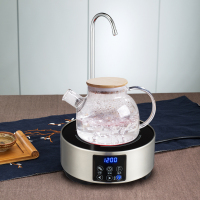迷你电陶炉茶炉自动上水小型法耐(FANAI)抽水小电磁炉泡茶光波煮茶器家用 不锈钢银色+竹盖壶