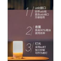 usb迷你喷雾机加湿器净化法耐(FANAI)空气 小型宿舍精油办公室桌面便携式 70MLusb暖灯+香薰+USB插头