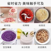 绞肉机法耐(FANAI)家用电动不锈钢馅菜果蔬料理搅拌蒜蓉蒜泥器小型碎肉机 [双档2升玻璃碗2套刀]