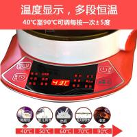 养生壶法耐（FANAI）多功能加厚玻璃煮粥燕窝银耳家用电保温烧水壶煮花茶 桃红（赠滤网蛋架）