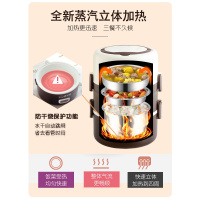 电热饭盒法耐(FANAI)可插电加热保温热饭蒸煮带饭锅迷你小饭煲上班族1人2 高贵紫(饭碗+菜碟)(电路板升级)